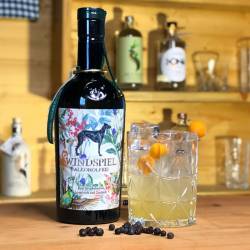 Gin & Tonic mit alkoholfreiem Windspiel Gin